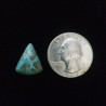 Kingman Turquoise