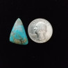 Kingman Turquoise