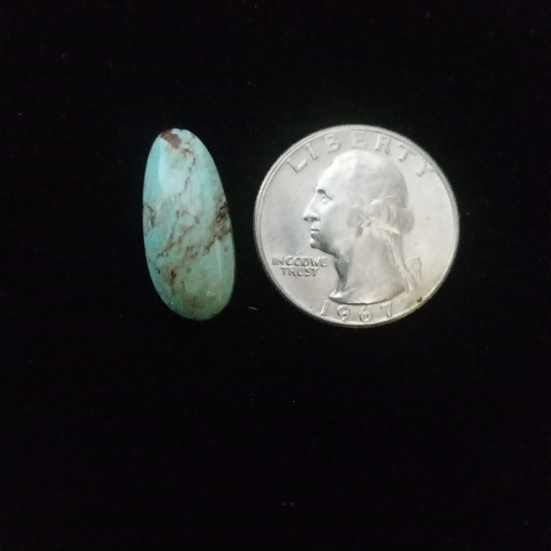 Kingman Turquoise