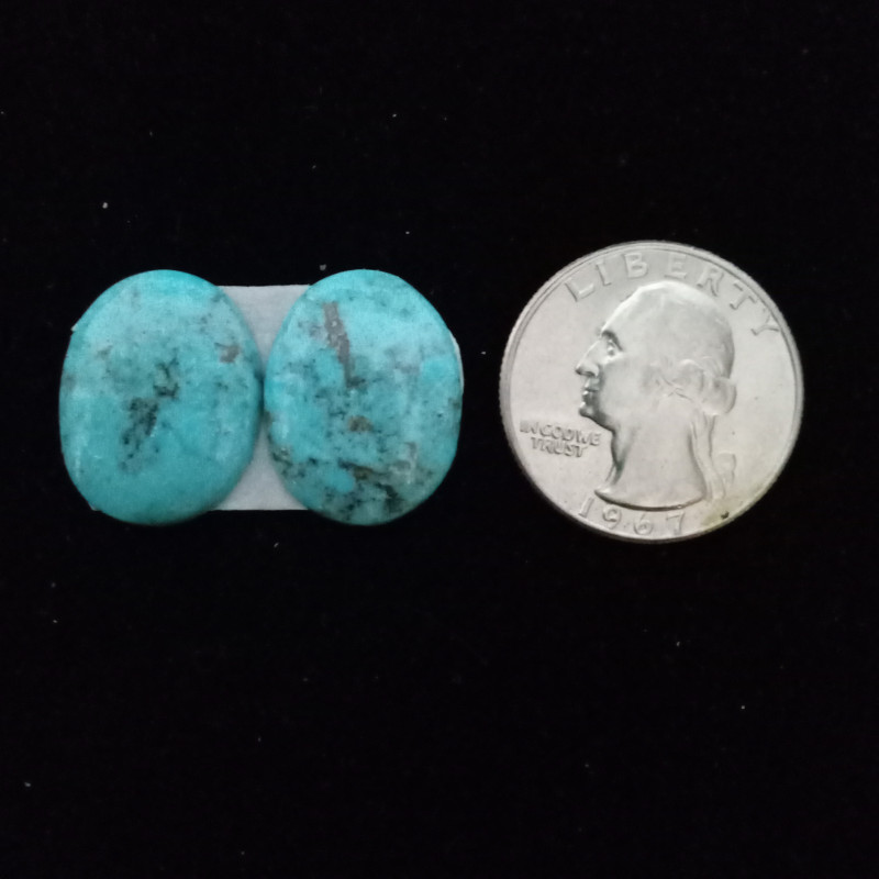 Kingman Turquoise