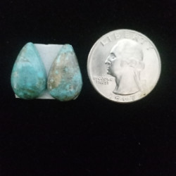 Kingman Turquoise