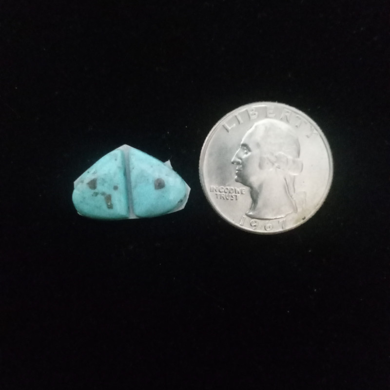 Kingman Turquoise