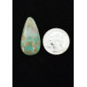 Nevada Turquoise