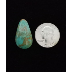 Nevada Turquoise