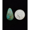 Nevada Turquoise