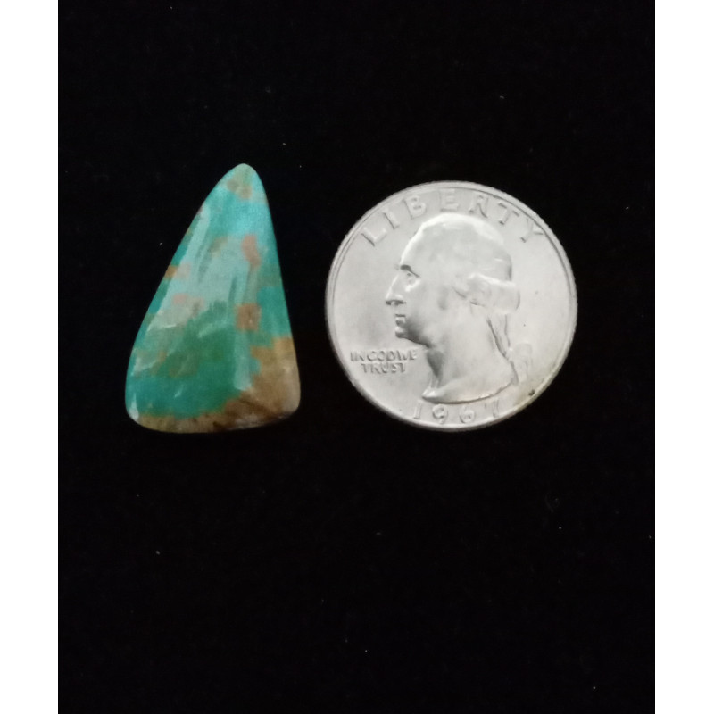 Nevada Turquoise