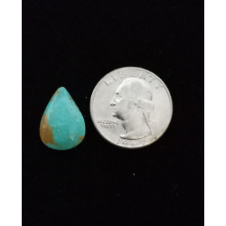 Nevada Turquoise