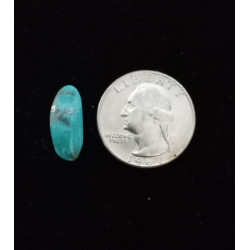 Kingman Turquoise