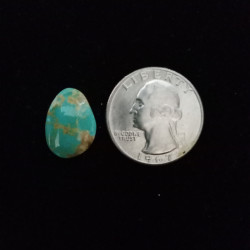 Nevada Turquoise