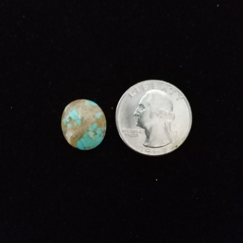 Nevada Turquoise