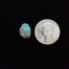 Kingman Turquoise