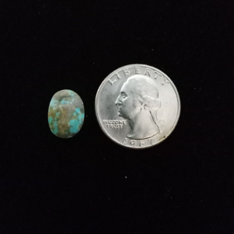 Nevada Turquoise