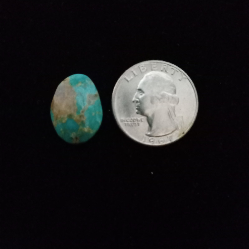 Nevada Turquoise