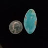 Campitos Turquoise Cabochon