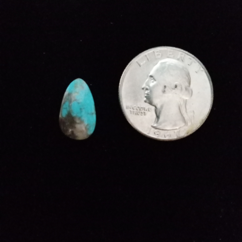 Kingman Turquoise