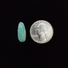 Kingman Turquoise