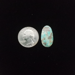 Nevada Turquoise