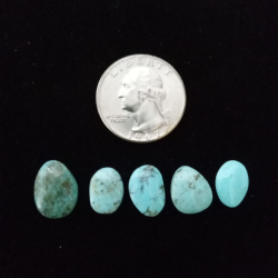 Kingman Turquoise