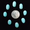 Kingman Turquoise