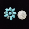 Kingman Turquoise