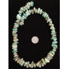 Turquoise Strand