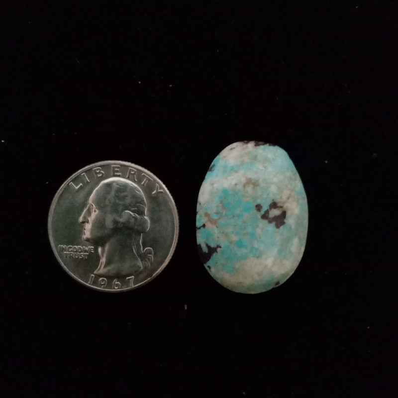 Campitos Turquoise Cabochon