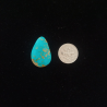 Nevada Turquoise