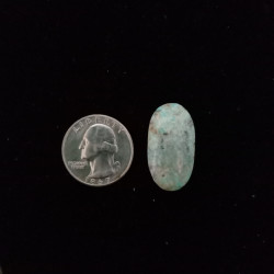 Campitos Turquoise Cabochon