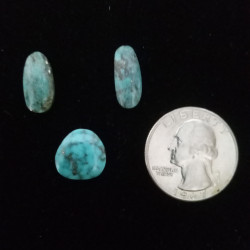 Kingman Turquoise