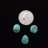 Kingman Turquoise