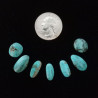 Kingman Turquoise