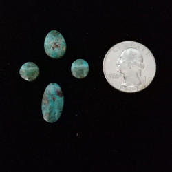 Kingman Turquoise