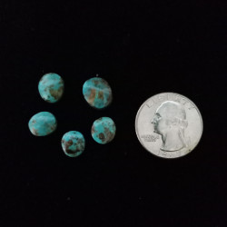 Kingman Turquoise