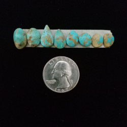 Nevada Turquoise