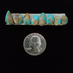 Nevada Turquoise