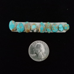 Nevada Turquoise