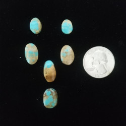 Nevada Turquoise