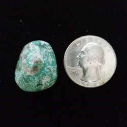 Campitos Turquoise Cabochon