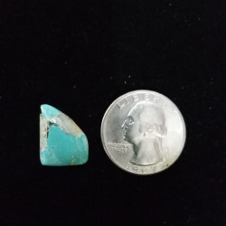 Campitos Turquoise Cabochon