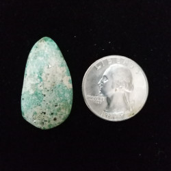 Campitos Turquoise Cabochon