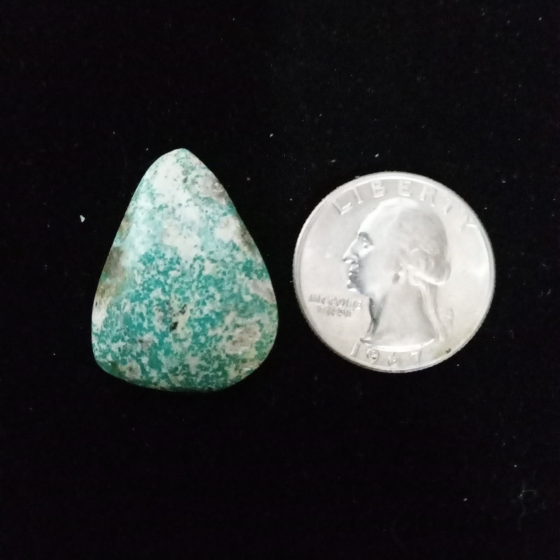 Campitos Turquoise Cabochon