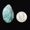 Campitos Turquoise Cabochon