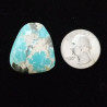 Campitos Turquoise Cabochon