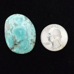 Campitos Turquoise Cabochon