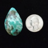 Campitos Turquoise Cabochon