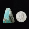 Campitos Turquoise Cabochon