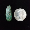 Campitos Turquoise Cabochon