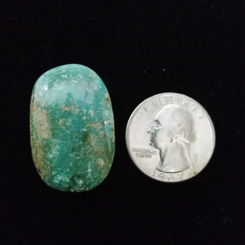 Campitos Turquoise Cabochon