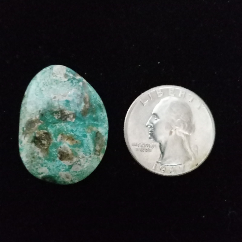 Campitos Turquoise Cabochon