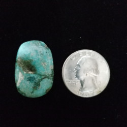 Campitos Turquoise Cabochon